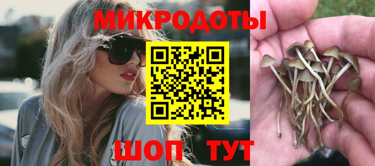 где купить   Вход с VPN  Петрозаводск  Псилоцибиновые грибы Psilocybine cubensis 